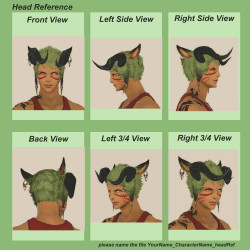 Head Close Up Head Close Up